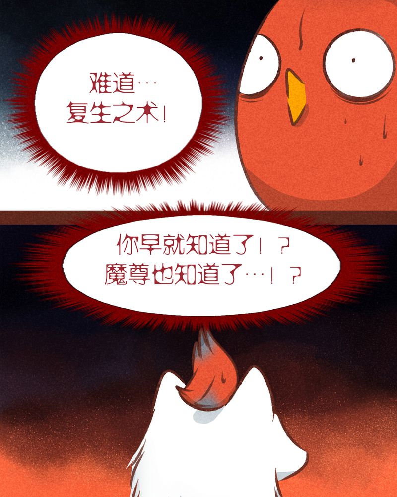 第78章：14