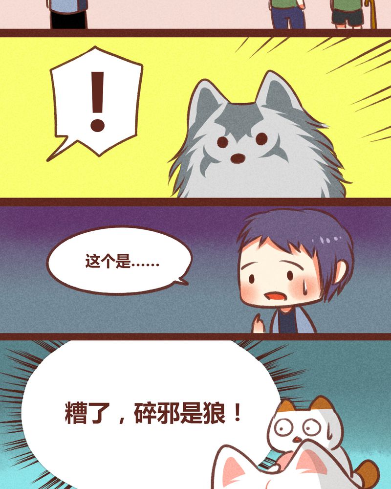 第31章：15