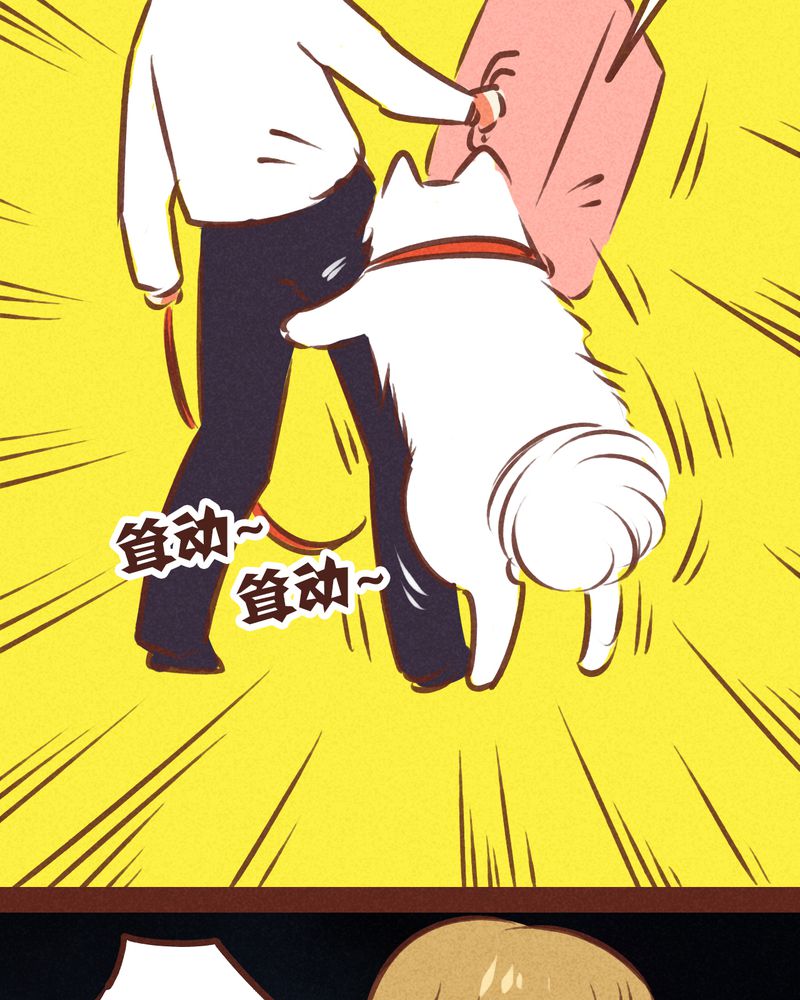 第74章：20