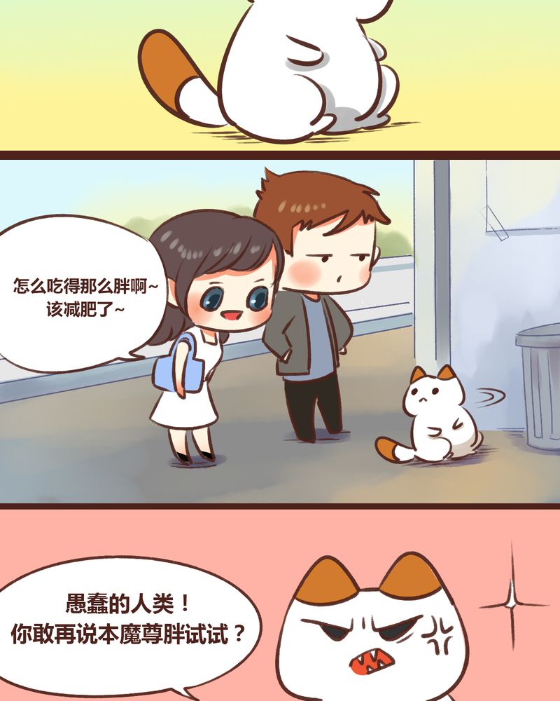 第17章：31