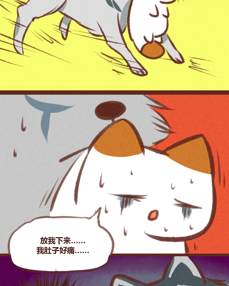 第20章：24