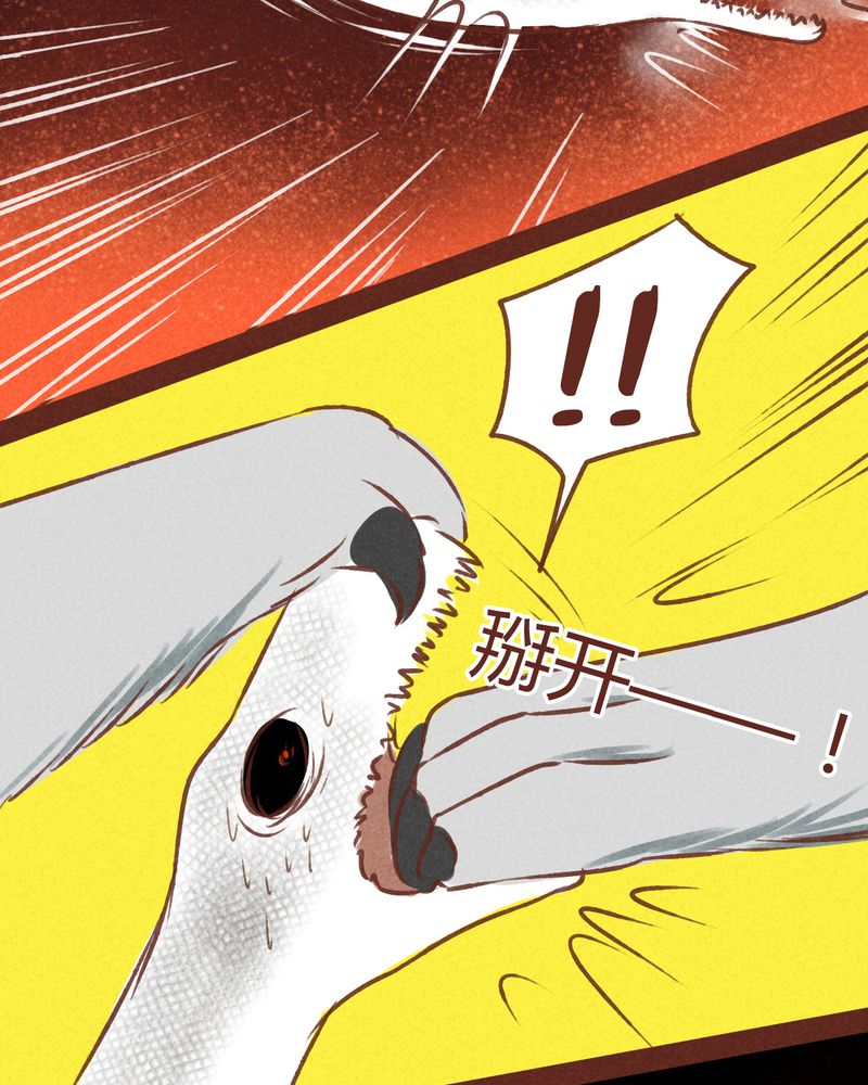 第69章：40