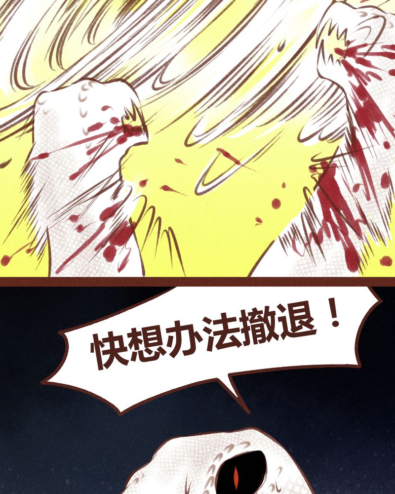 第66章：32
