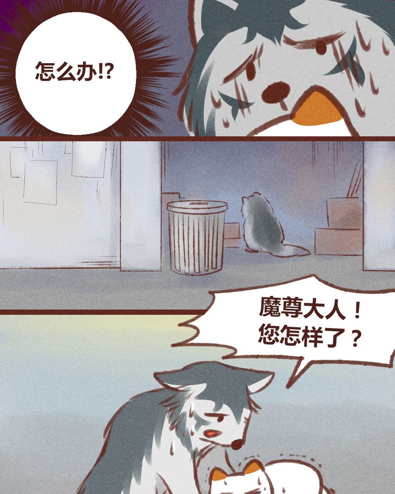第20章：25