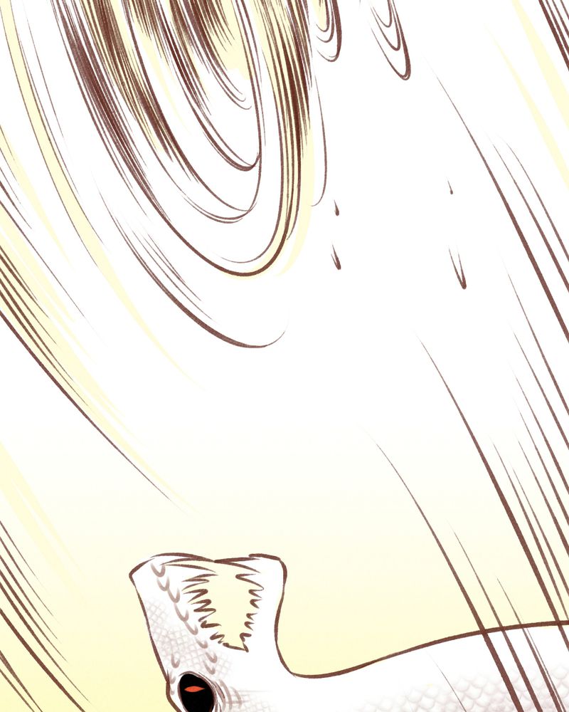第66章：30