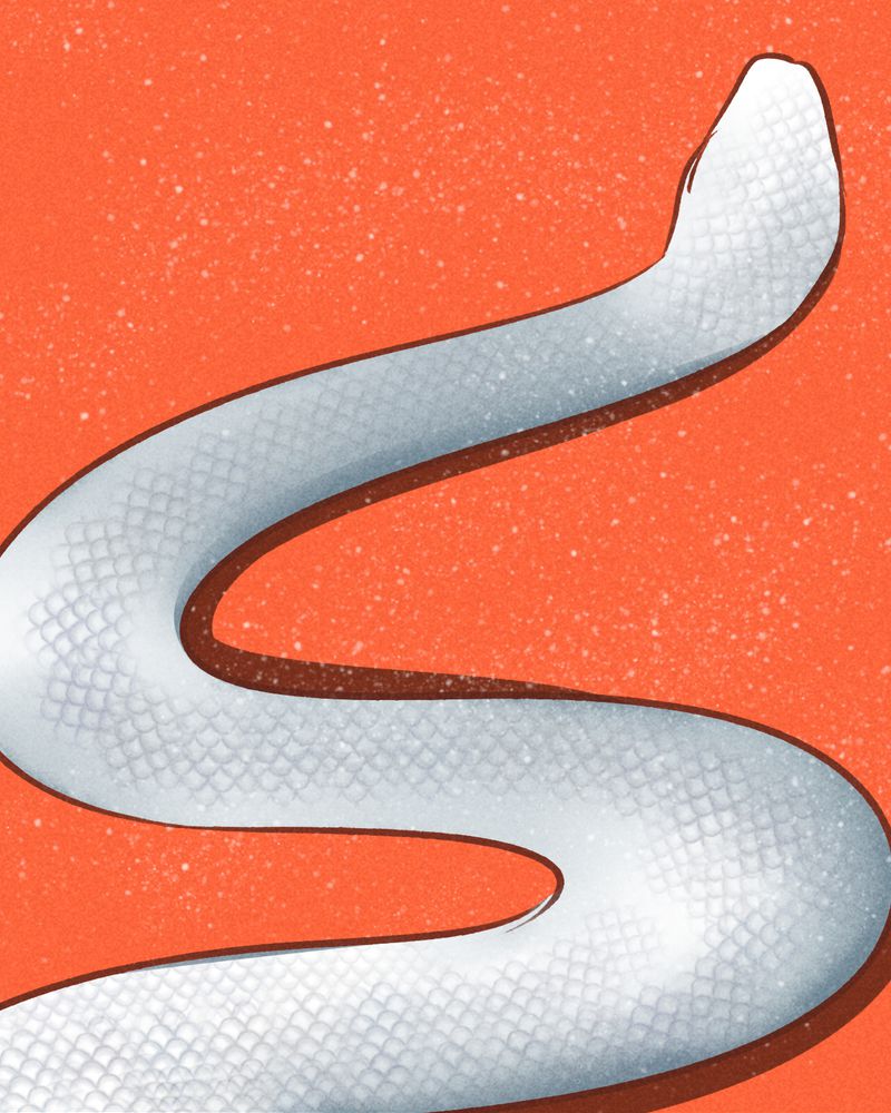 第67章：51