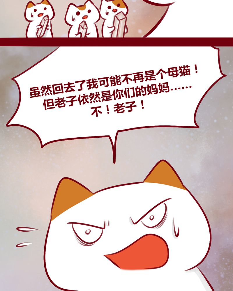 第113章：6