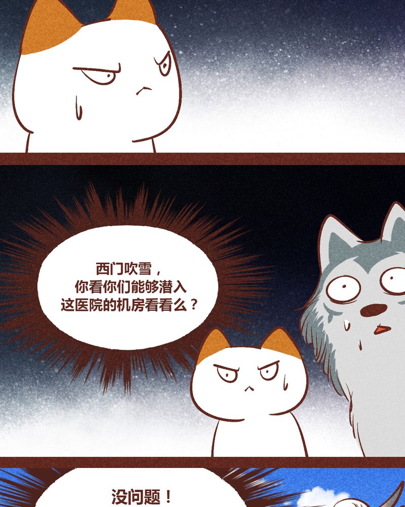 第91章：13