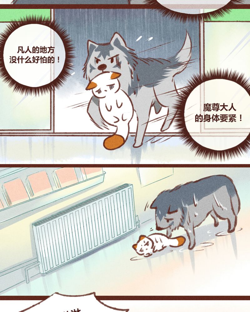 第20章：31