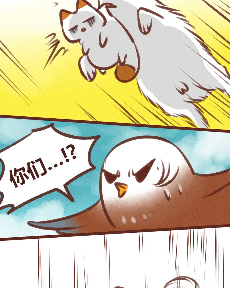 第20章：17