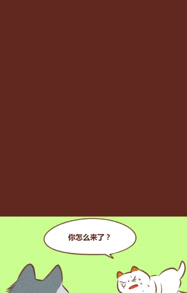 第61章：22