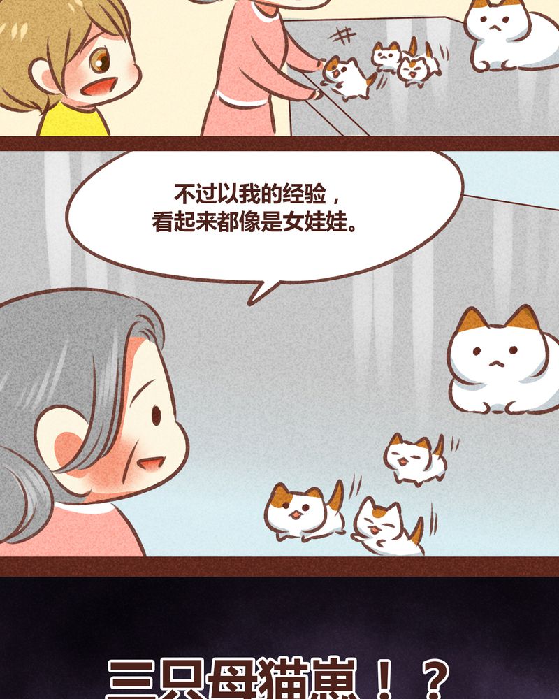 第78章：25