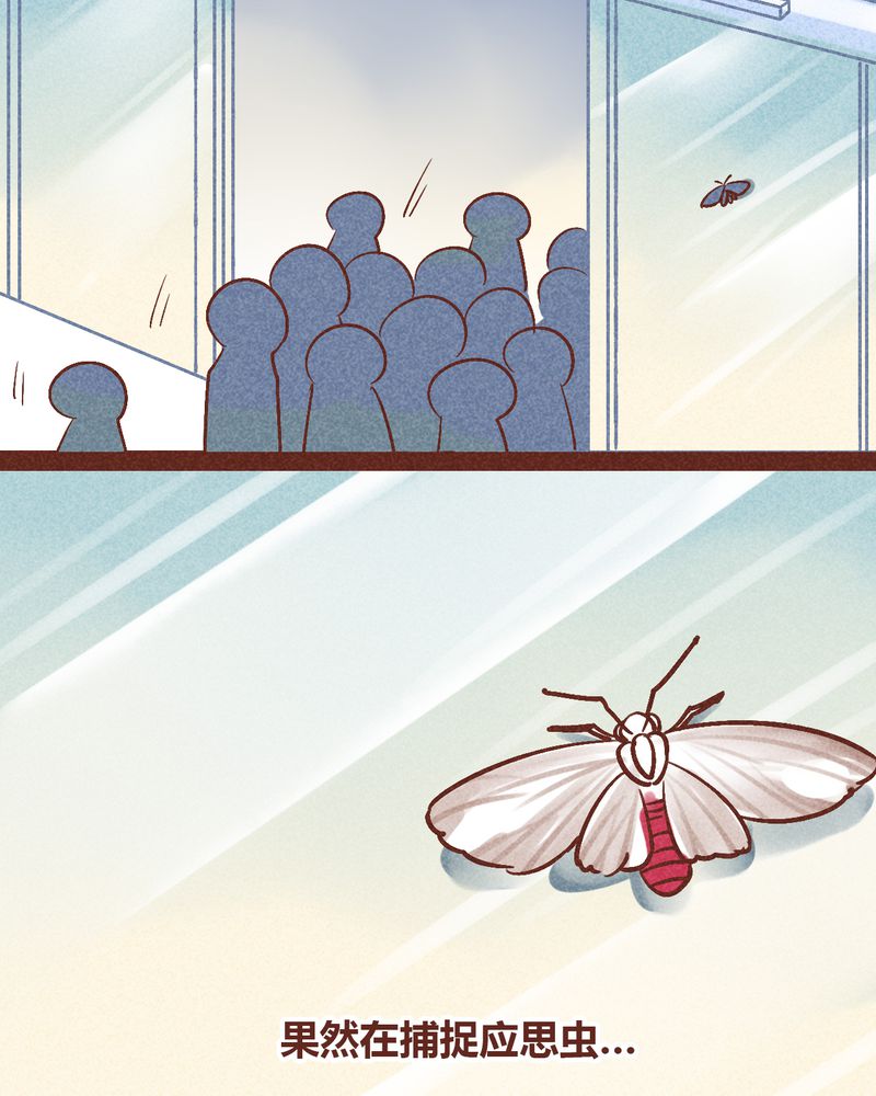 第88章：30