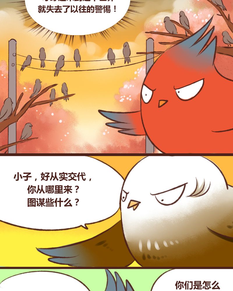 第15章：16