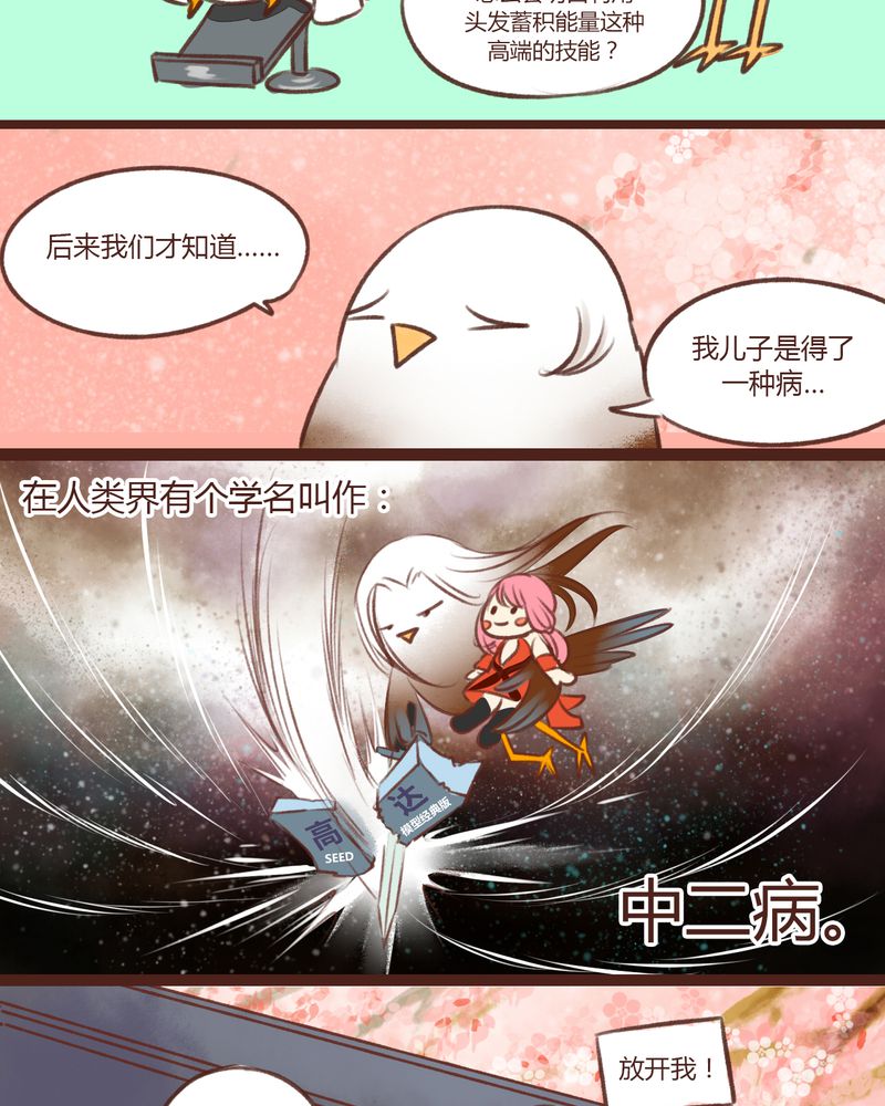 第13章：20