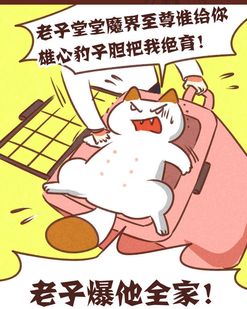 第74章：7