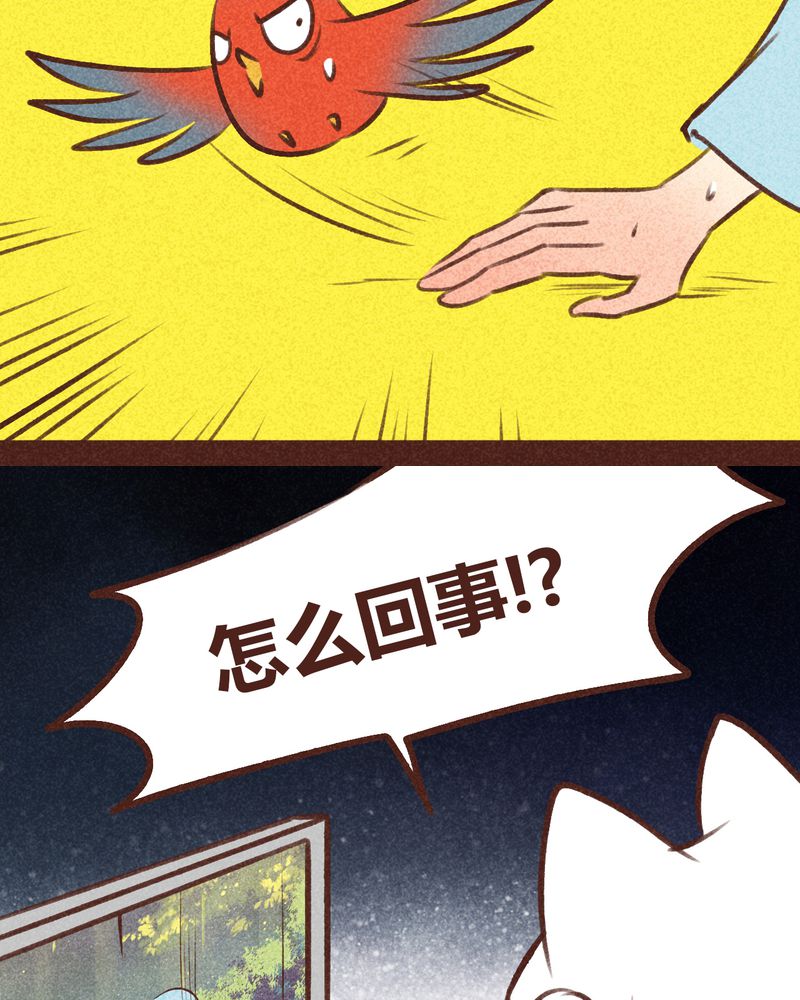 第95章：19