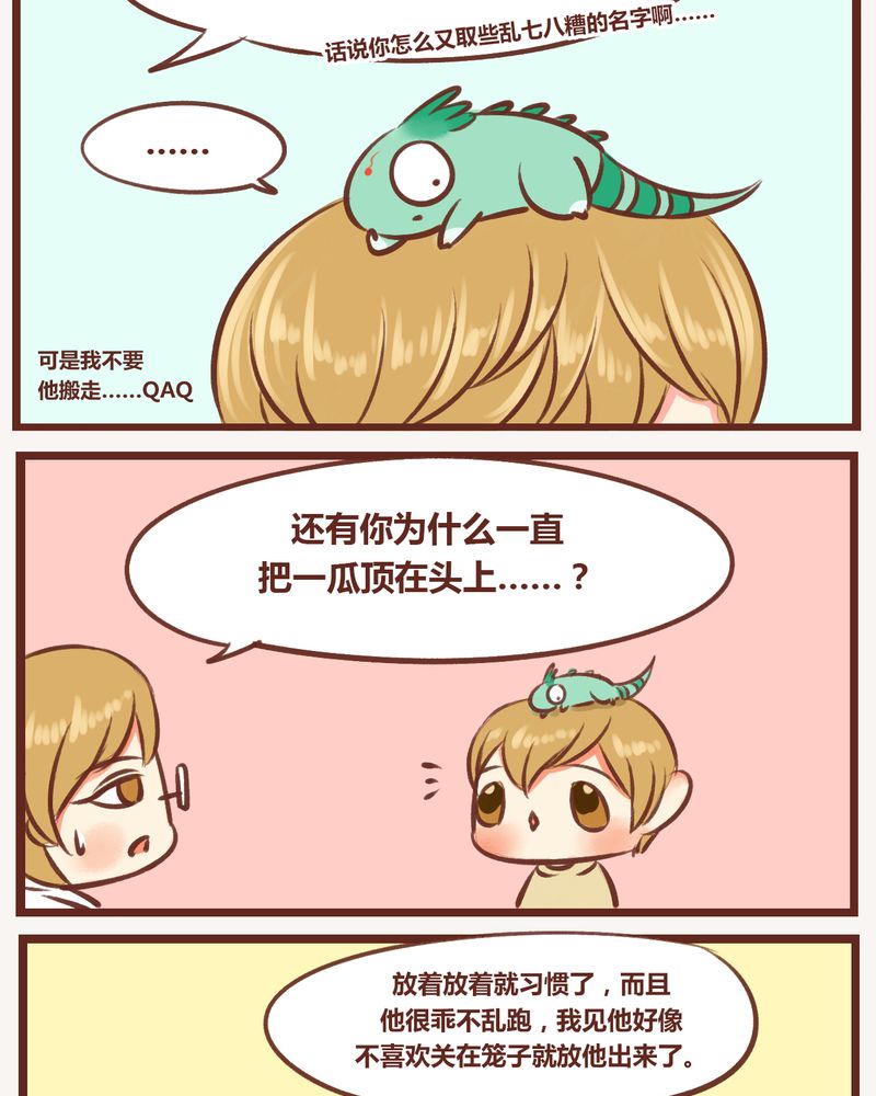 第11章：3