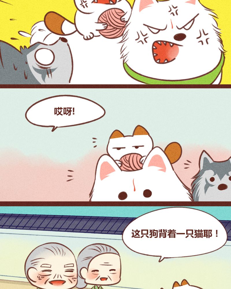 第31章：12