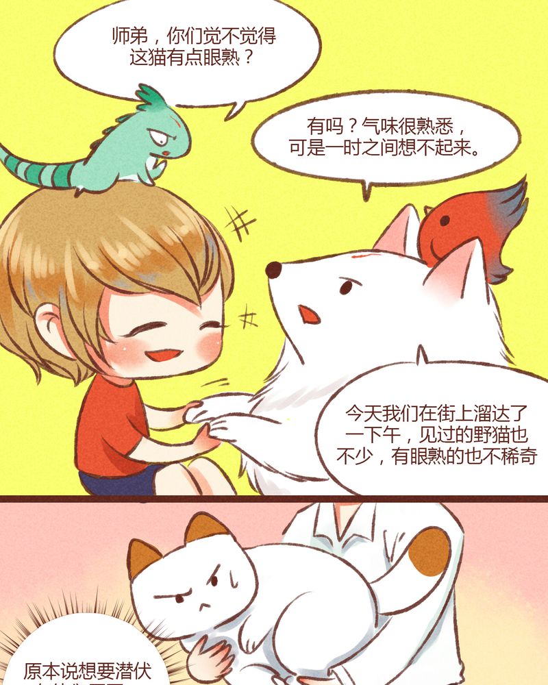 第19章：3