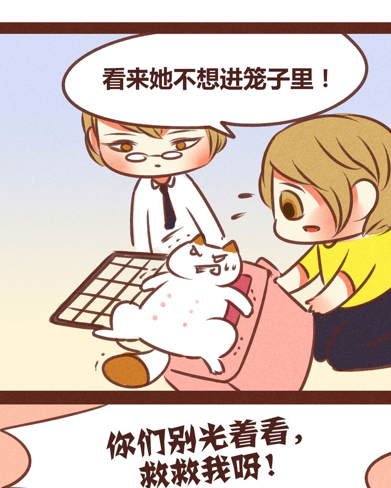 第74章：8