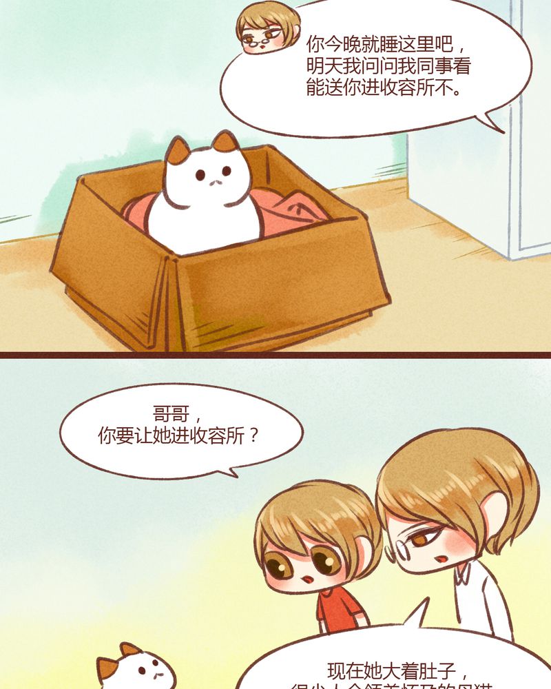 第19章：5