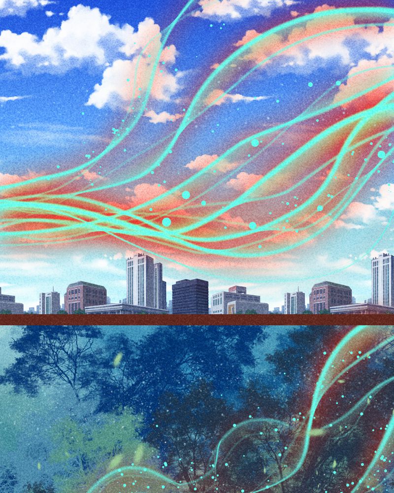 第88章：6