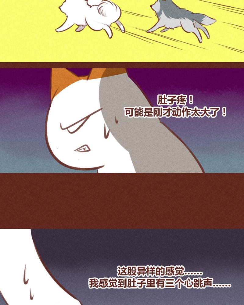 第33章：19