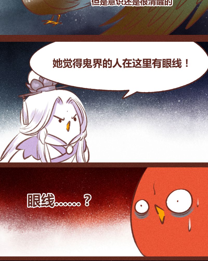 第55章：13