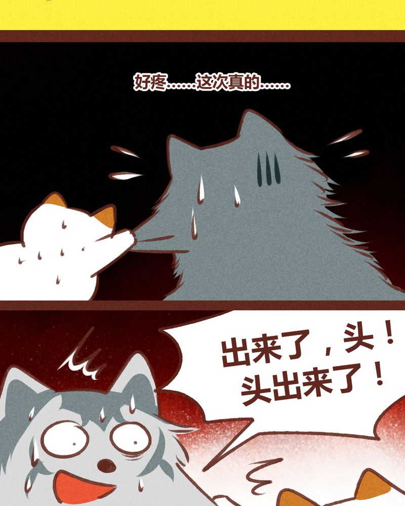 第62章：30