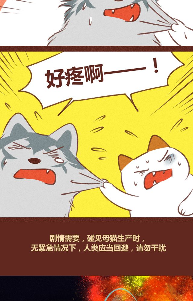 第61章：27