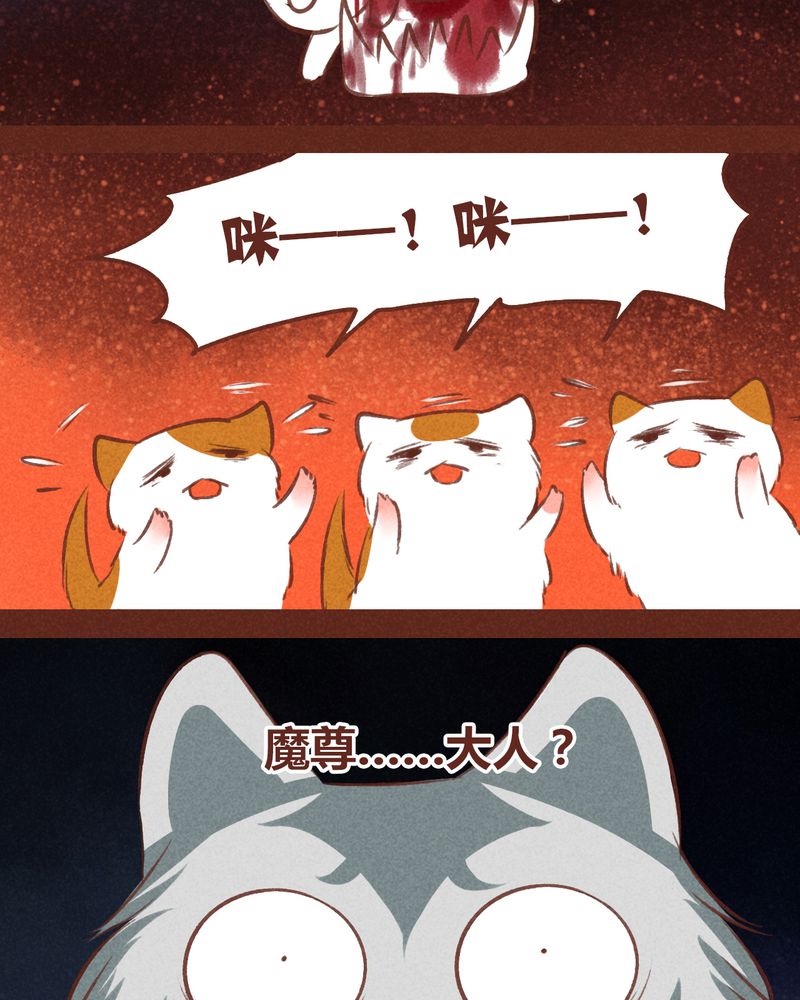 第66章：4