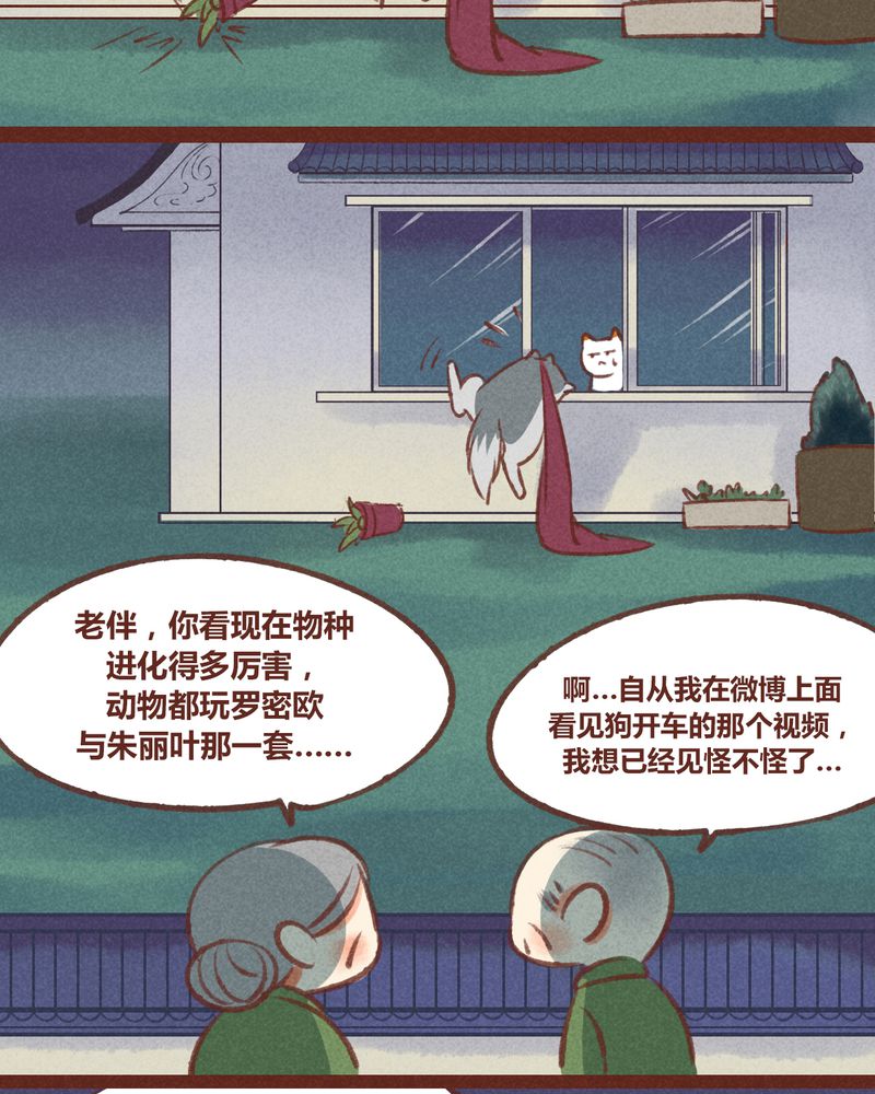 第24章：10