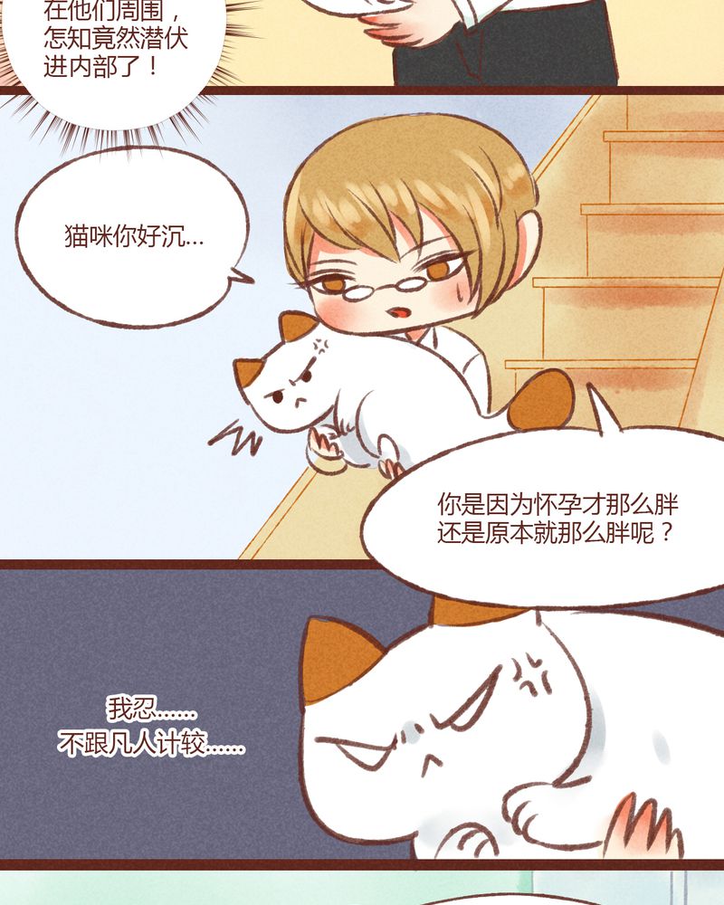 第19章：4