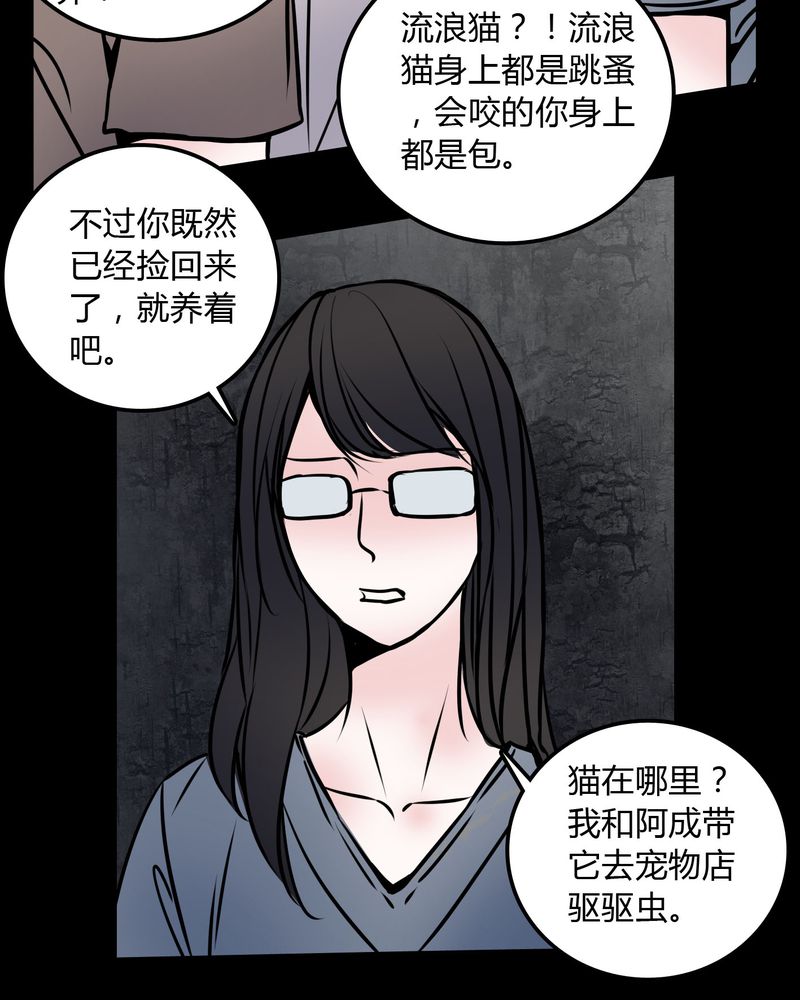 第59章：流浪猫10