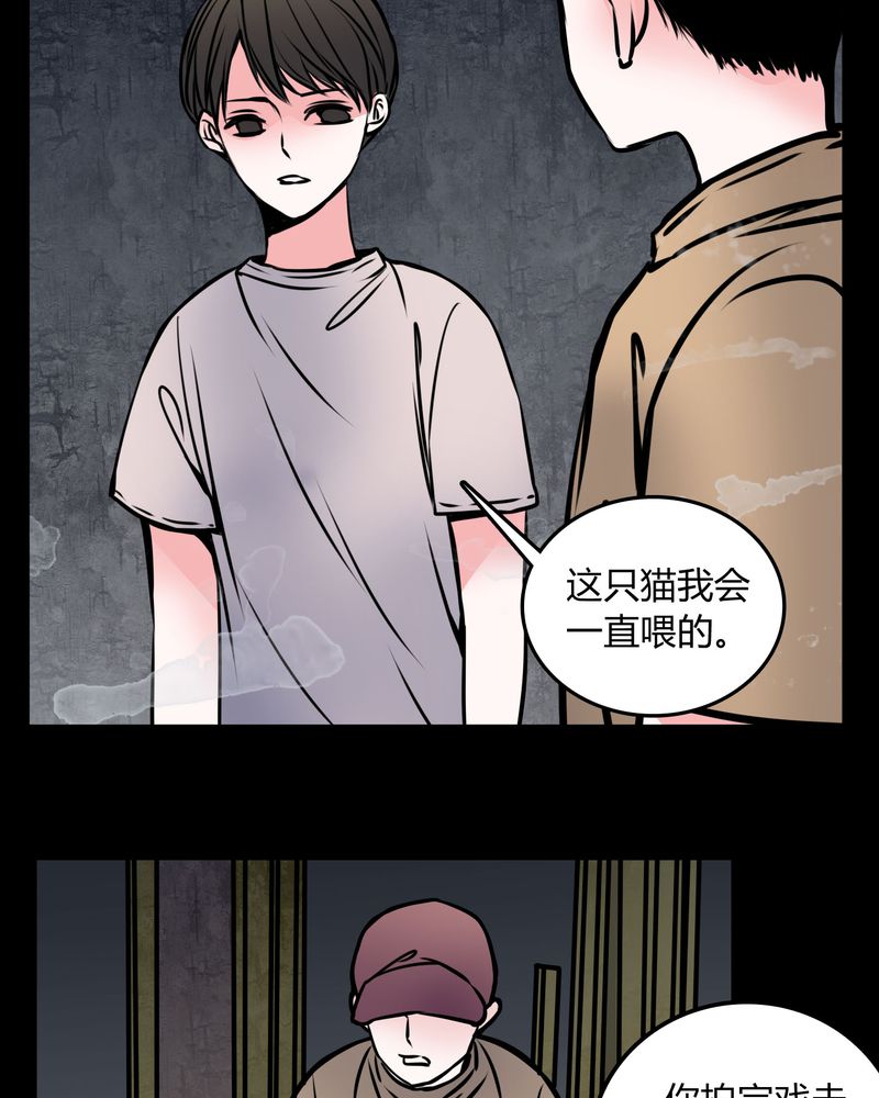 第59章：流浪猫6