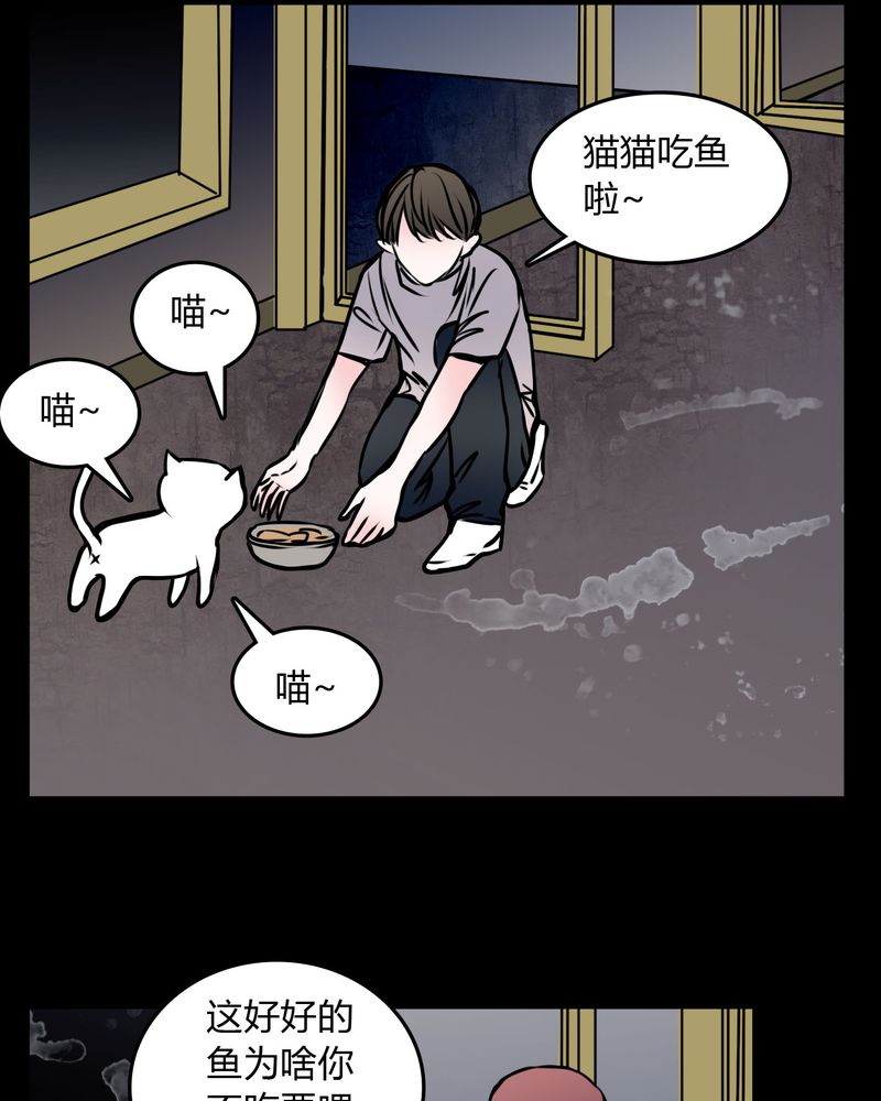 第59章：流浪猫4