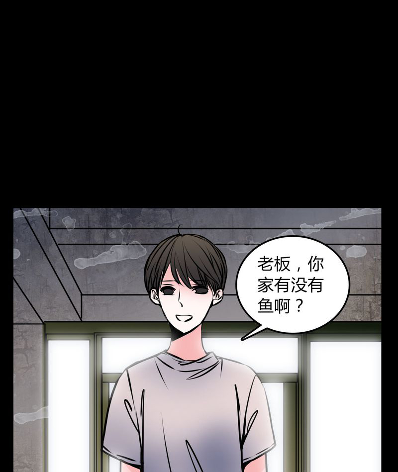 第59章：流浪猫1