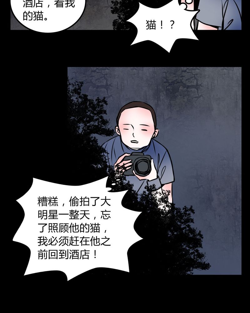 第59章：流浪猫18