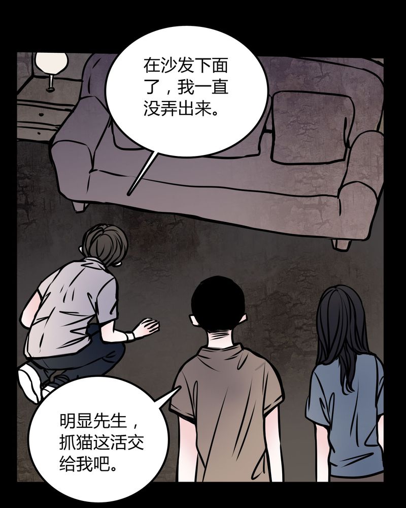 第59章：流浪猫11