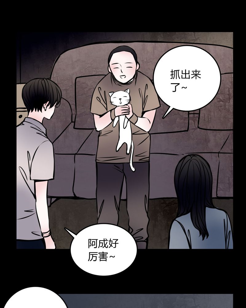 第59章：流浪猫12
