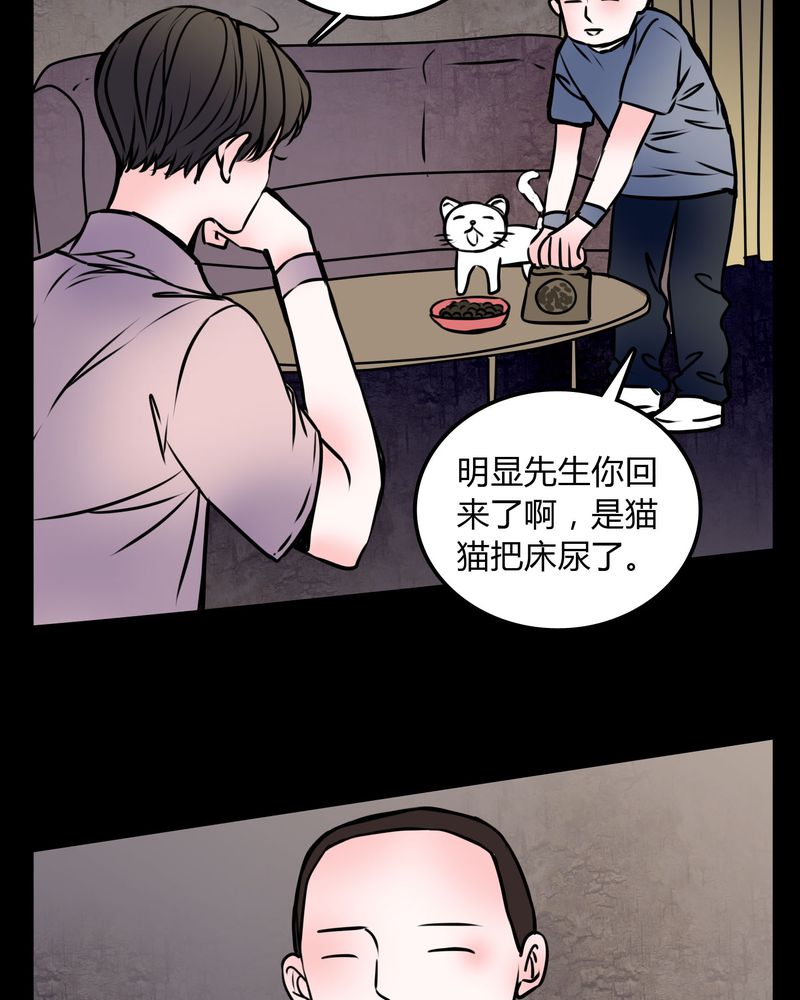 第59章：流浪猫21