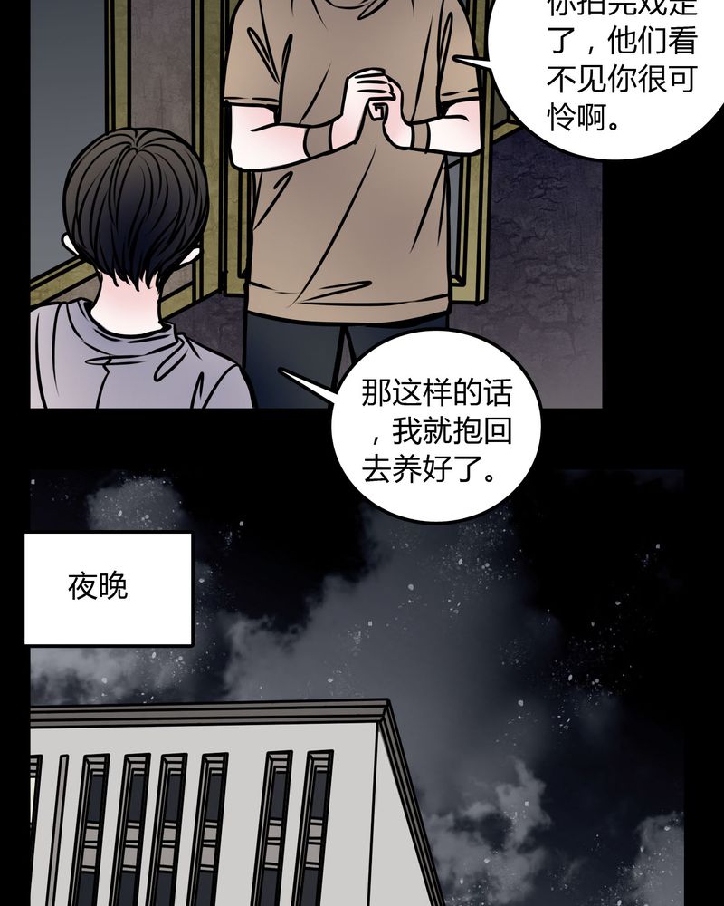 第59章：流浪猫7