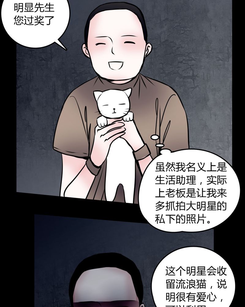 第59章：流浪猫13