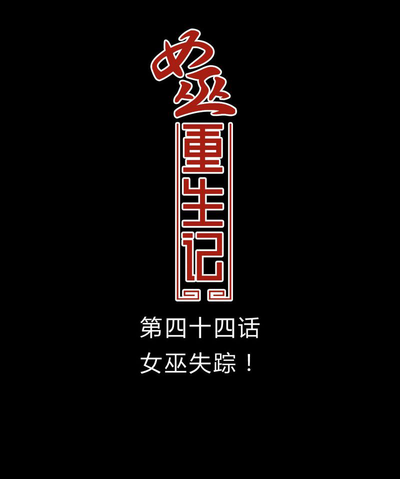 第45章：女巫失踪0