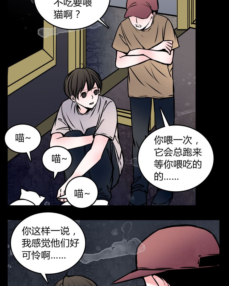 第59章：流浪猫5