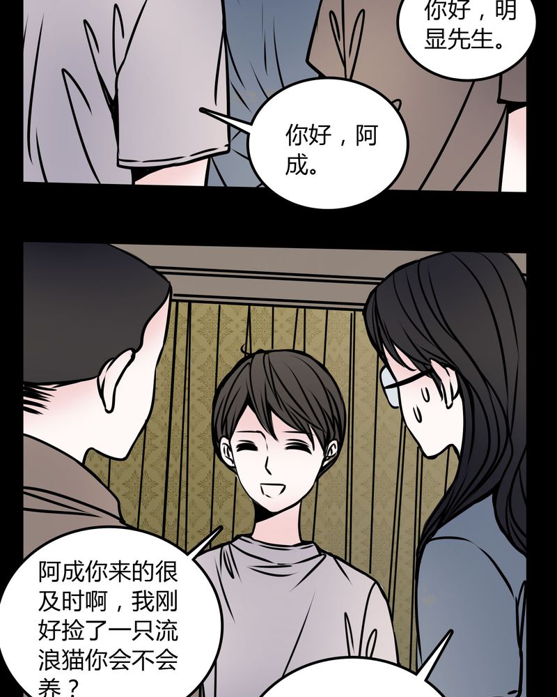 第59章：流浪猫9