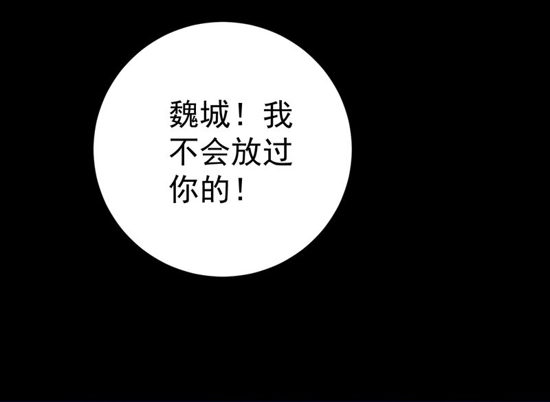 第15章：摆脱不了的魏城40