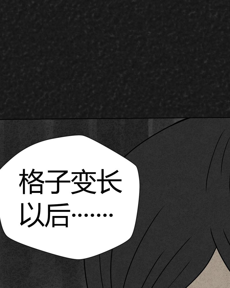 第19章：格子23