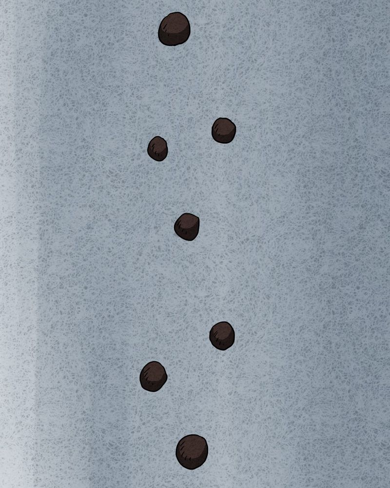 第19章：格子34
